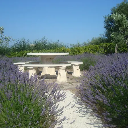 Bed & Breakfast Rose Hill Beauvallon (Var)